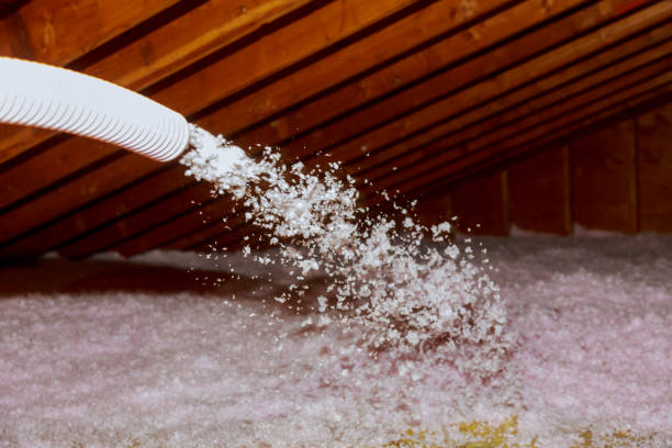 Best Specialized Insulation Services in Woodville, MS